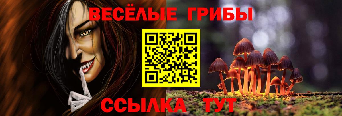 Галлюциногенные грибы Cubensis  Вход с VPN  Кириши 